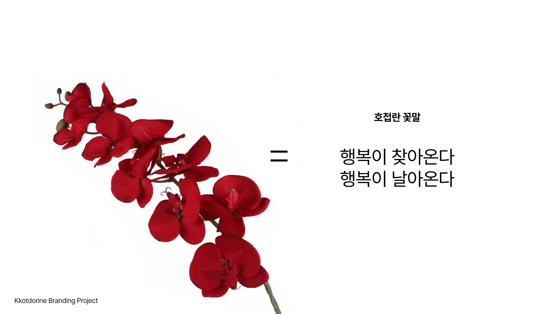 꽃돌이네 브랜딩 5